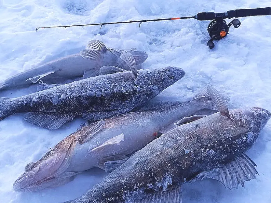 Актуши, Самарская область: фото 5