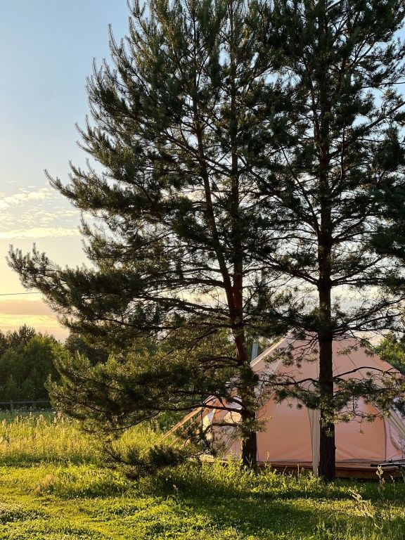 Грибная Находка by Reston, Калужская область: фото 4