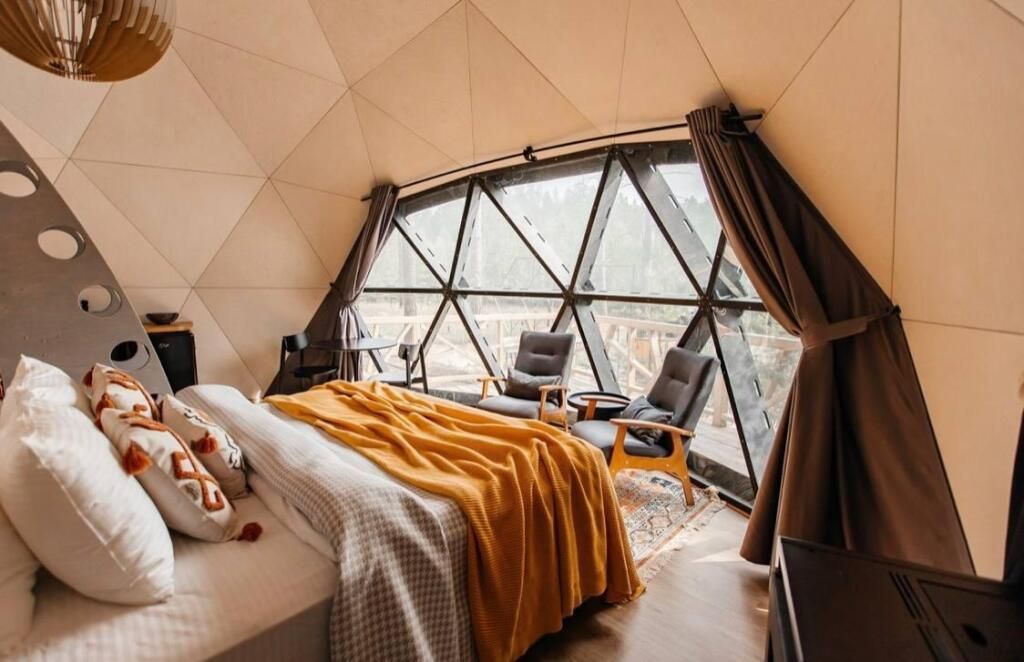 Хвойный берег, Тюменская область: фото 3