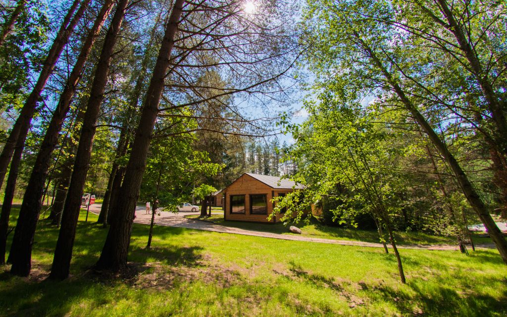 База отдыха Водопад, Псковская область: фото 5