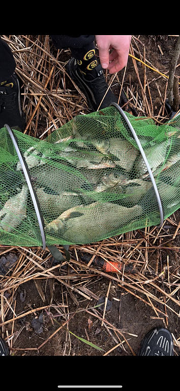 Фото из отзыва от 25.05.2025