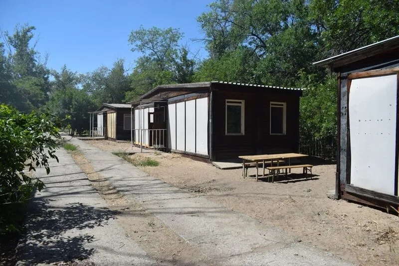 Добрыня, Волгоградская область: фото 2