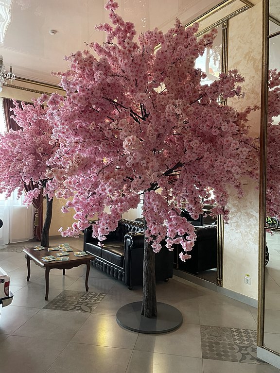 Фото из отзыва от 31.05.2025