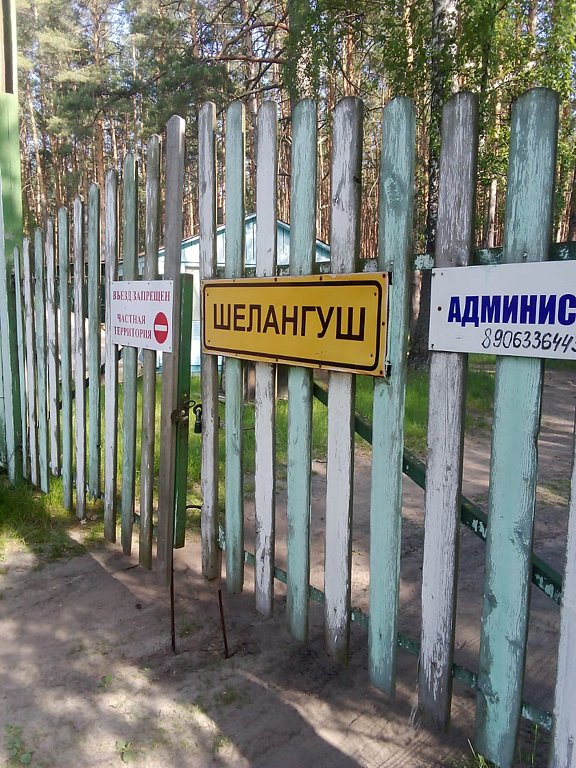 Фото из отзыва от 31.05.2025