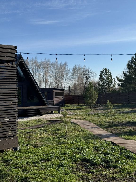 Дубовая роща, Самарская область: фото 5