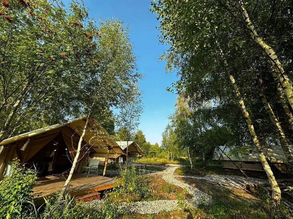 Малина Глэмпинг Коса, Калининградская область: фото 3