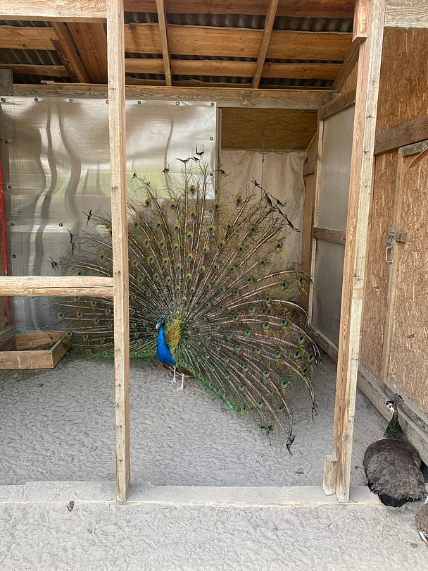 Фото 6 из отзыва о базе отдыха Философия отдыха