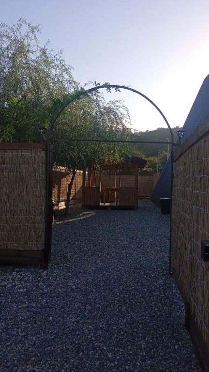 Ёлки-Иголки, Республика Адыгея: фото 3