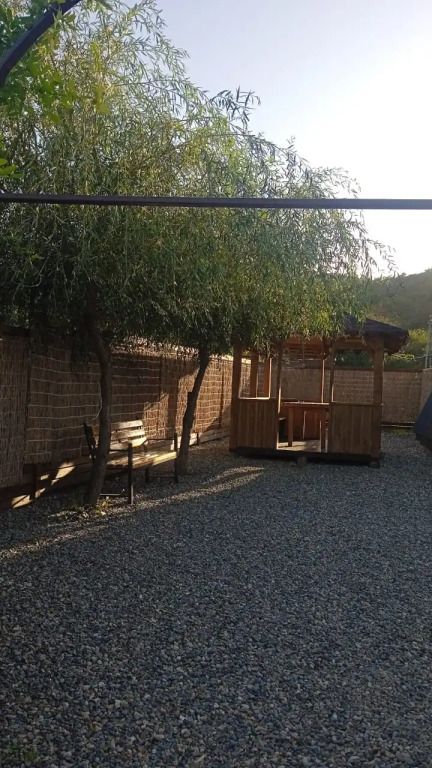 Ёлки-Иголки, Республика Адыгея: фото 4