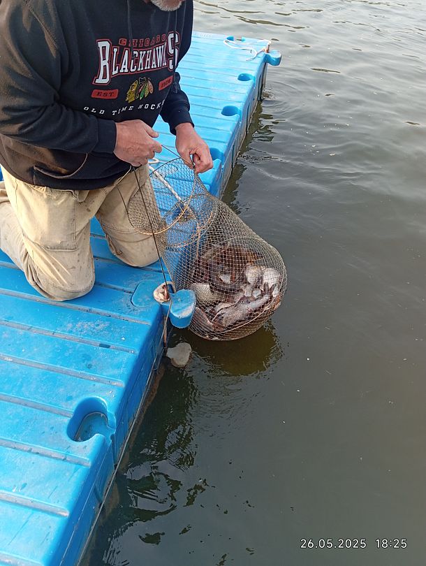 Фото 4 из отзыва о базе отдыха Путина