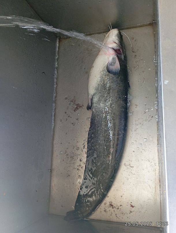 Фото 7 из отзыва о базе отдыха Путина