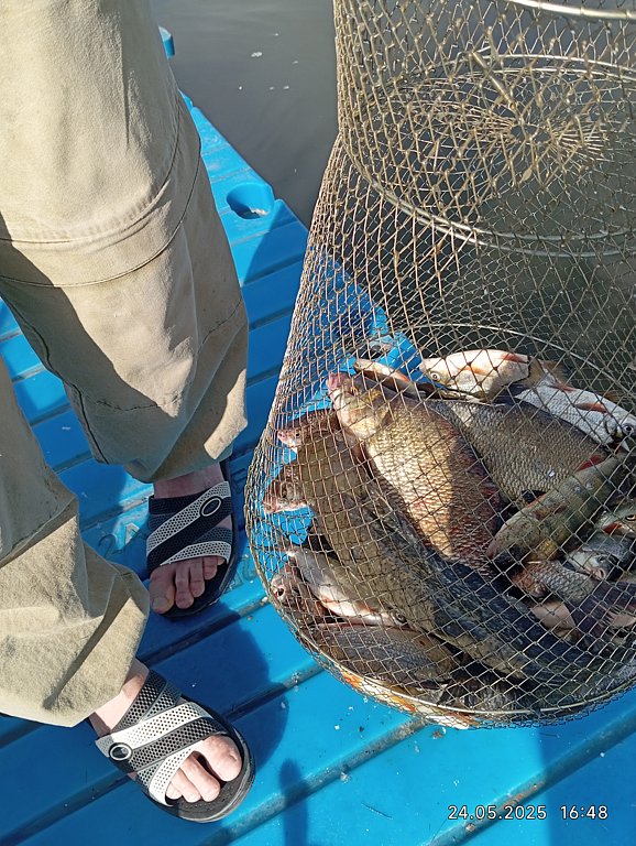 Фото из отзыва от 23.05.2025