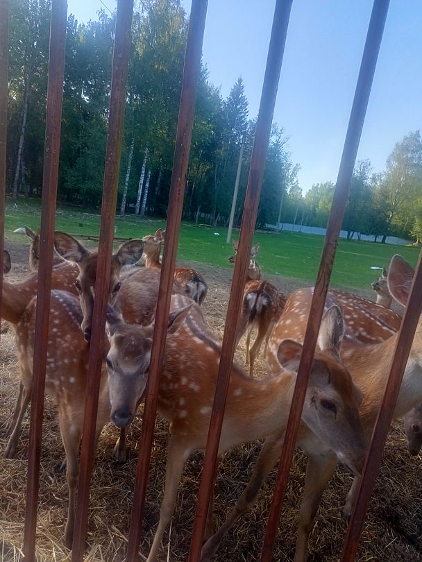 Фото 1 из отзыва о рыболовно-охотничьей базе Ухра