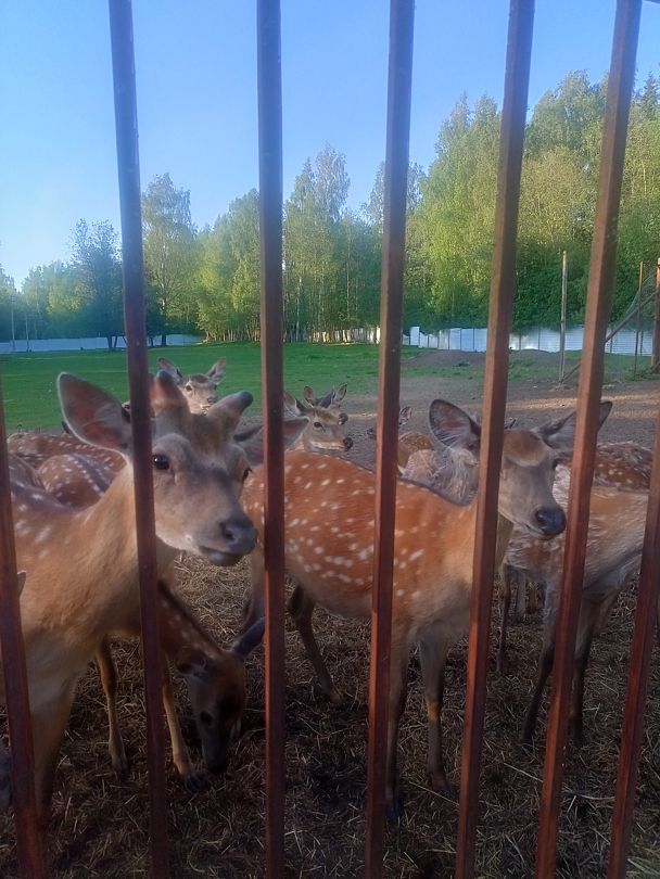 Фото 3 из отзыва о рыболовно-охотничьей базе Ухра