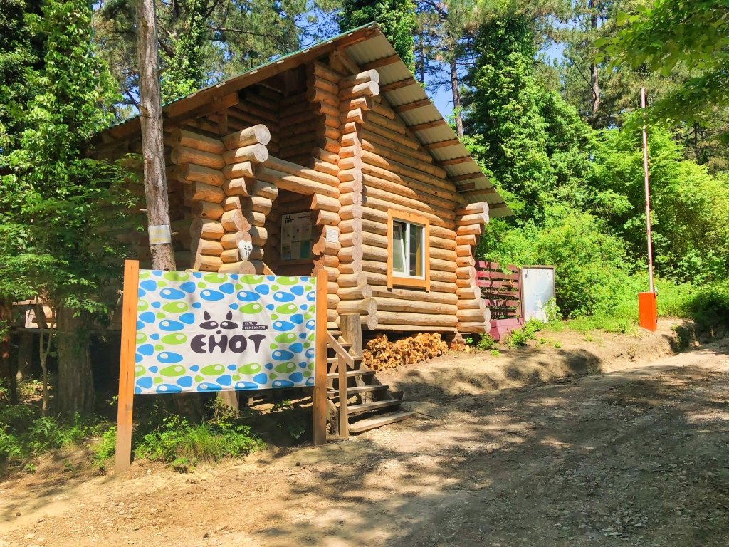 Кемпинг Енот-Архипо-Осиповка, Архипо-Осиповка, Краснодарский край