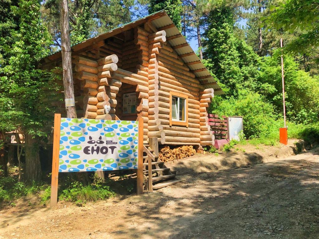 Кемпинг Енот-Архипо-Осиповка, Архипо-Осиповка, Краснодарский край