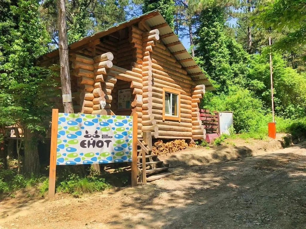 Кемпинг Енот-Архипо-Осиповка, Архипо-Осиповка, Краснодарский край