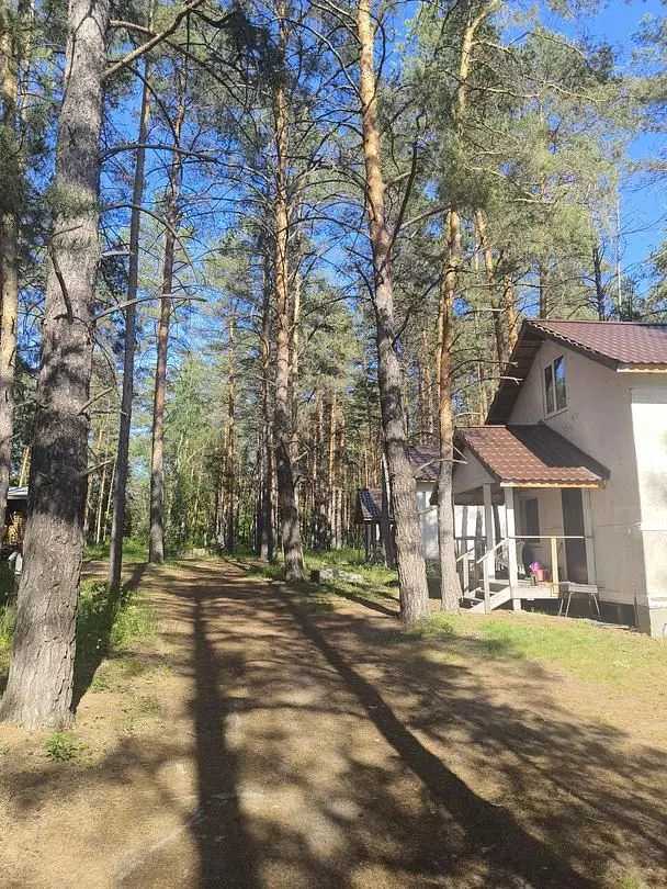 Гостевой дом Лес, Красноярский район, Самарская область