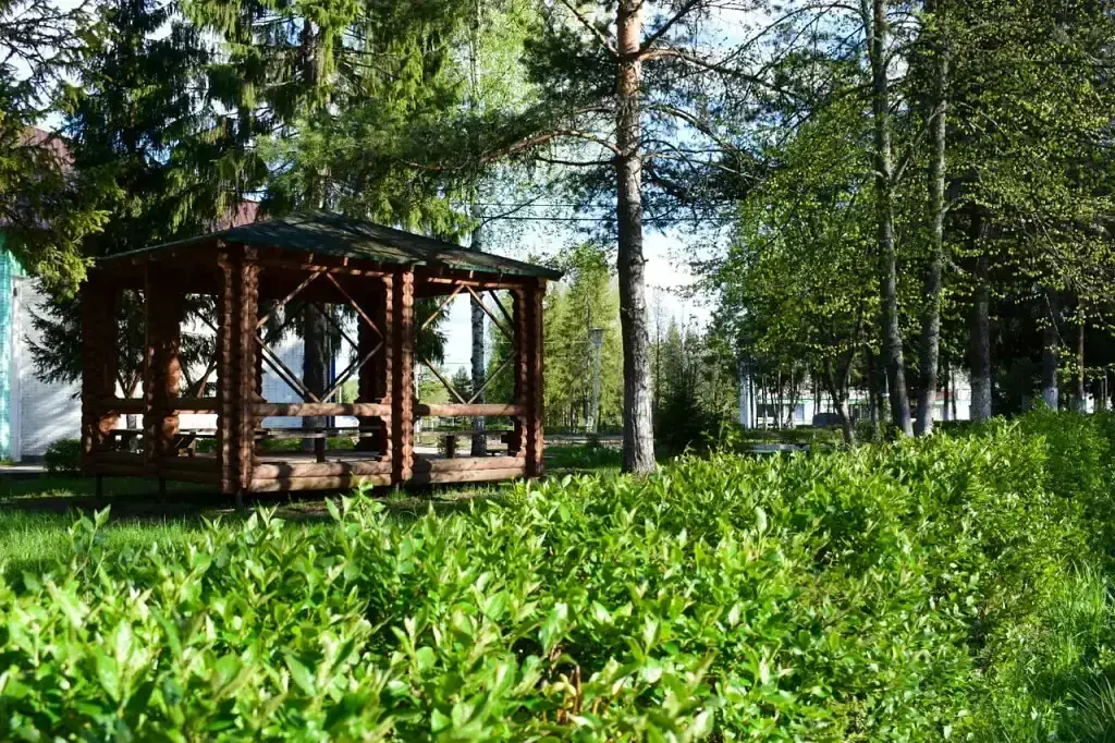 База Отдыха Сахареж, Ярославская область: фото 4