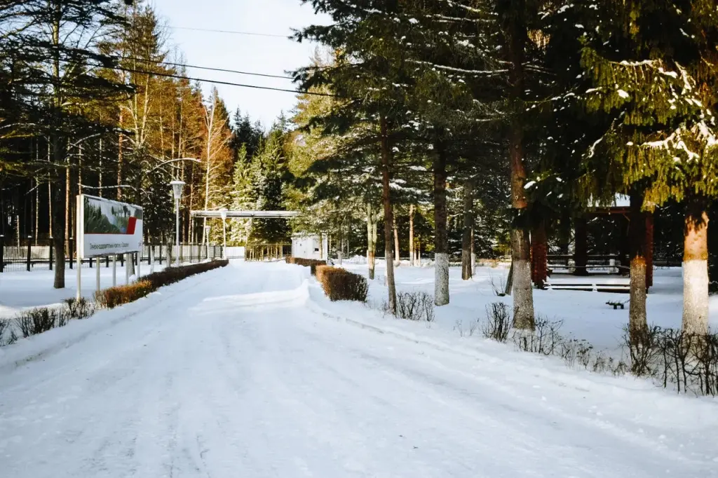 База Отдыха Сахареж, Ярославская область: фото 5