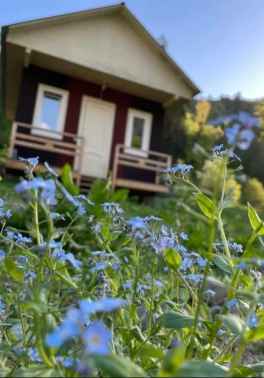 База Отдыха Адзгара, Гулрыпшский район: фото 3