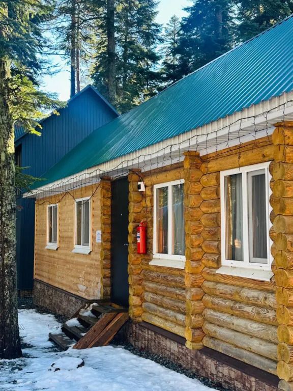 Пихтовый парк, Республика Карачаево-Черкесия: фото 2