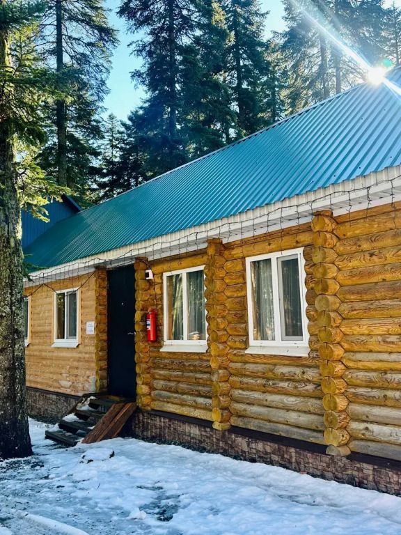 Пихтовый парк, Республика Карачаево-Черкесия: фото 4