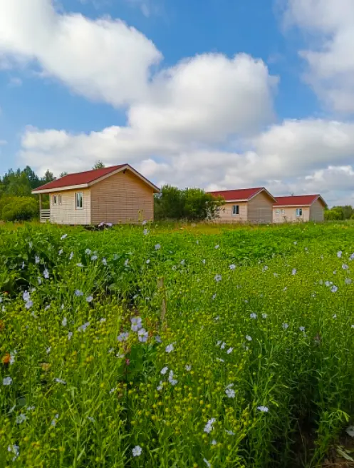 Глэмпинг Карловка, Успенское сельское поселение, Новгородская область