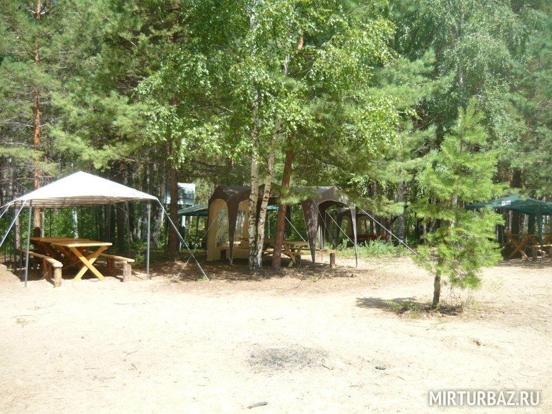 волшебная поляна