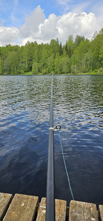 Фото из отзыва от 02.06.2025