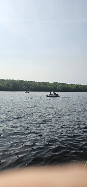 Фото из отзыва от 02.06.2025