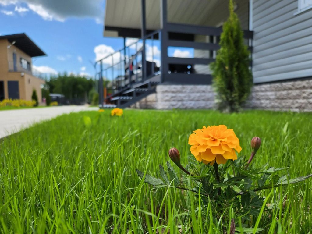 Поплавки Клуб, Московская область: фото 4