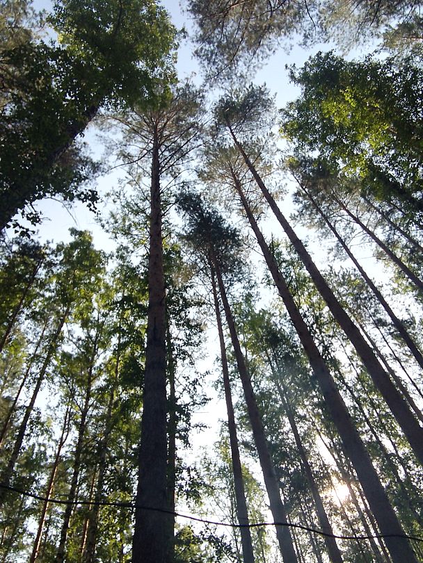 Фото 3 из отзыва о базе отдыха Весёлая Деревня