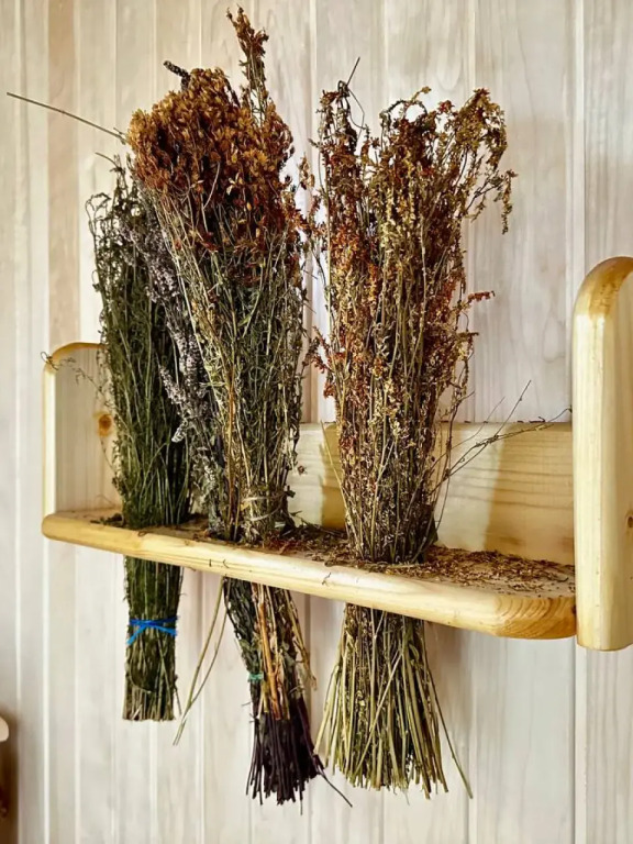 DRuzba doma, Вологодская область: фото 3