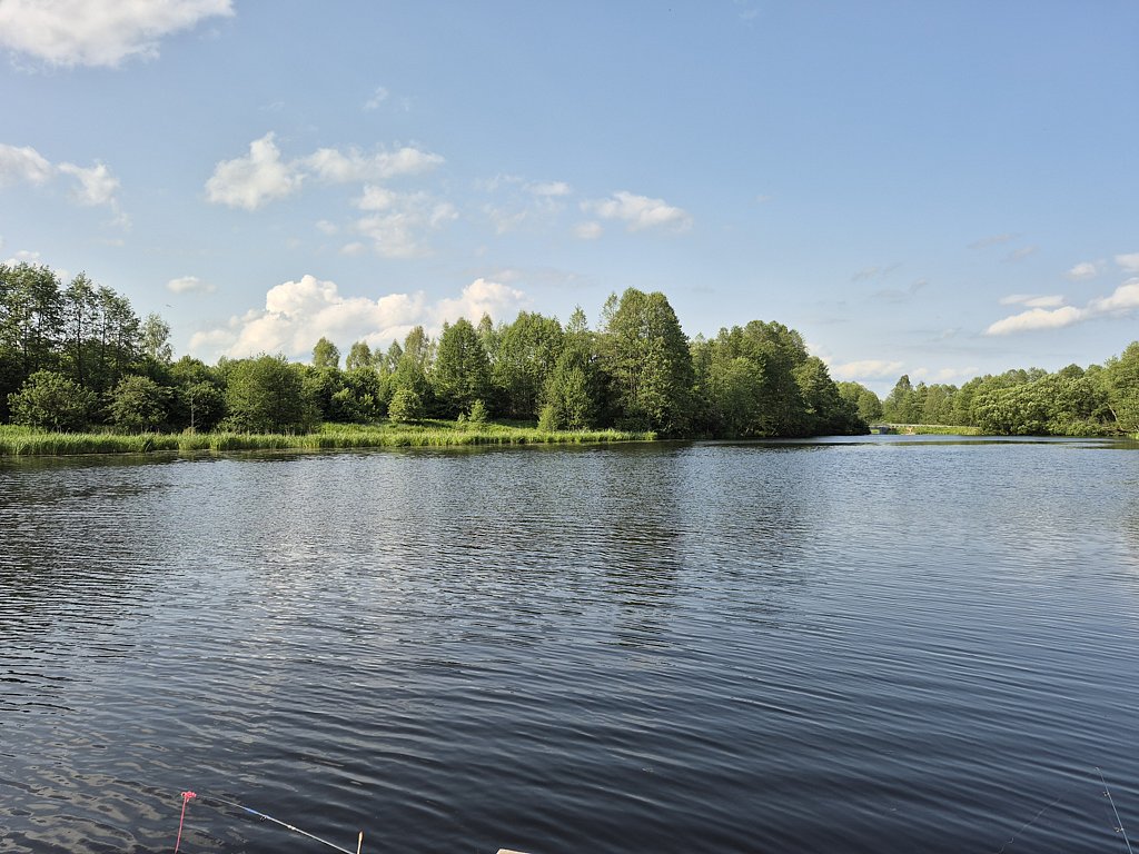 Фото из отзыва от 06.06.2025