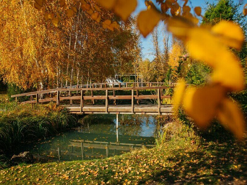 Фото ранчо тольятти