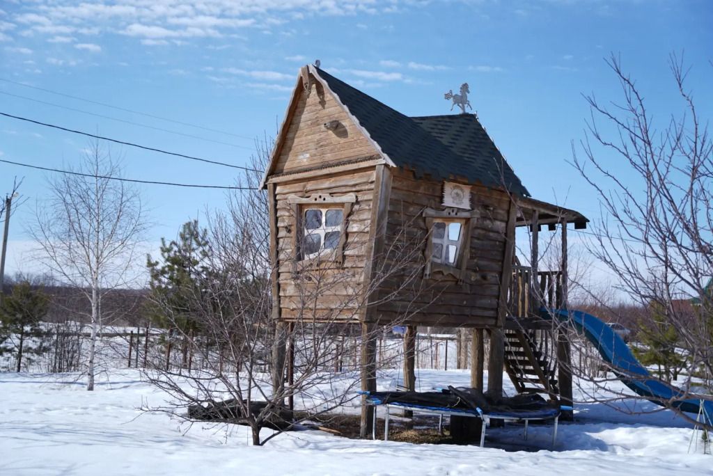 В деревушке на опушке, Пензенская область: фото 5