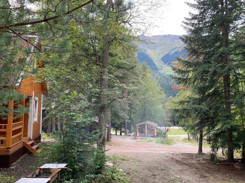 Мухоморье, Республика Карачаево-Черкесия: фото 5