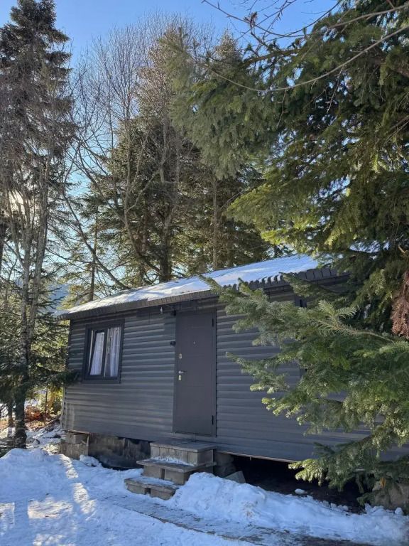 Глэмпинг В лесу, Архыз, Республика Карачаево-Черкесия