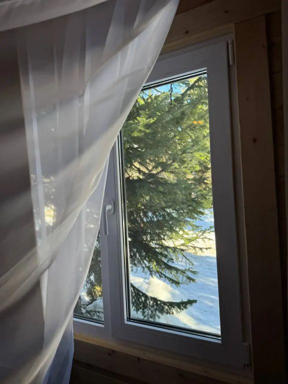 В лесу, Республика Карачаево-Черкесия: фото 3