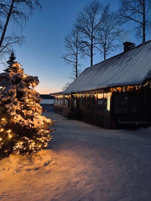 База отдыха Александровская, Ленинградская область: фото 5