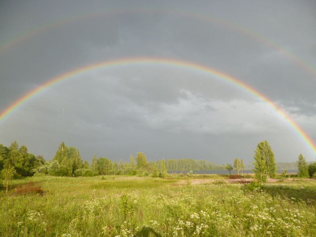 Кемпинг International Camp club Bereg Best Beach Stylish Coastline Ukleyno Lake National Park Valdai, деревня Малое Уклейно, Новгородская область