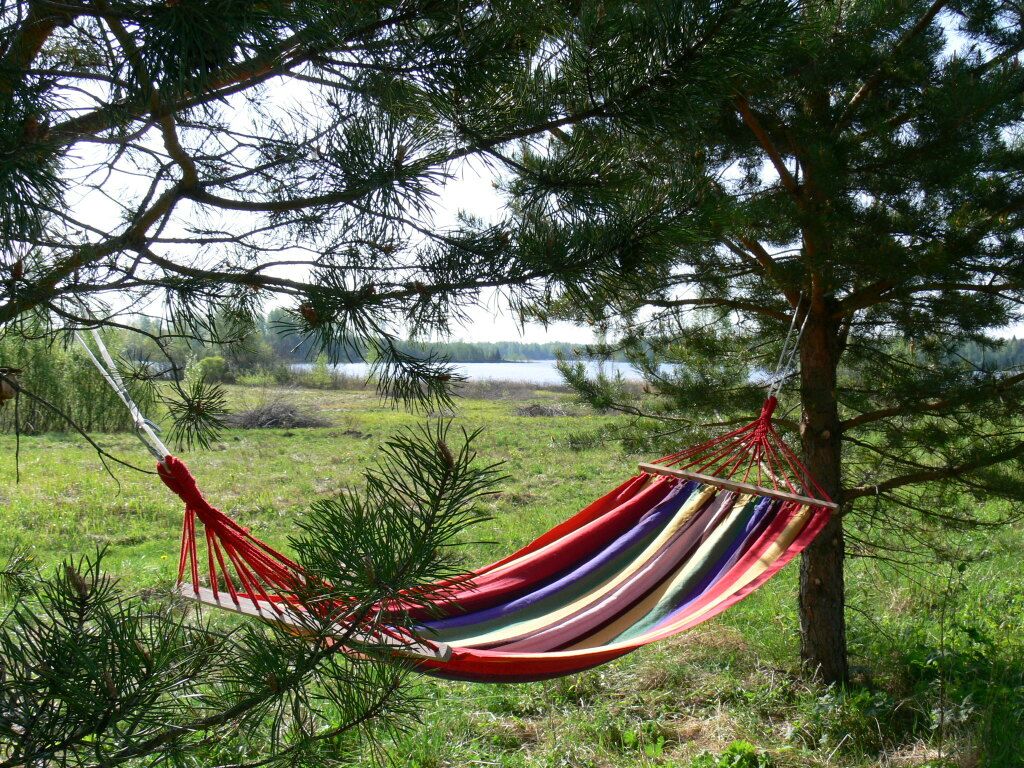 International Camp club Bereg Best Beach Stylish Coastline Ukleyno Lake National Park Valdai, Новгородская область: фото 3