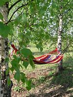 Семейный номер Standard с красивым видом из окна, Кемпинг International Camp club Bereg Best Beach Stylish Coastline Ukleyno Lake National Park Valdai, деревня Малое Уклейно