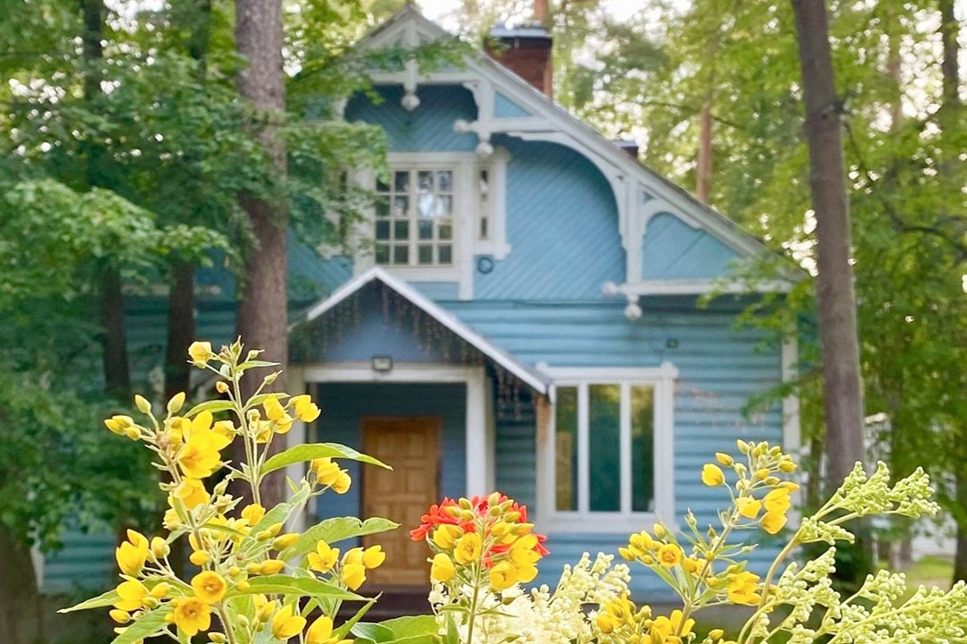 База отдыха Vyritsa Village, Вырица, Ленинградская область