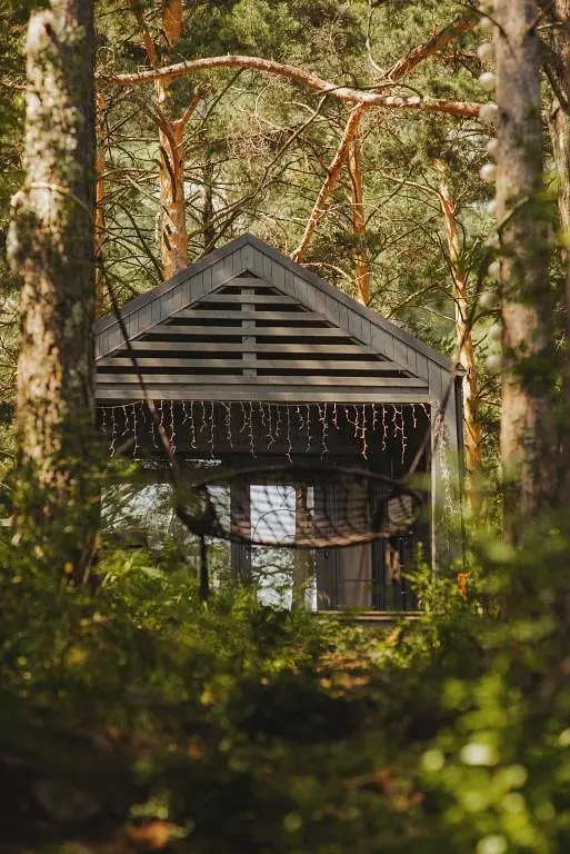 База отдыха Belka Forest House, село Анос, Горный Алтай (Республика Алтай)