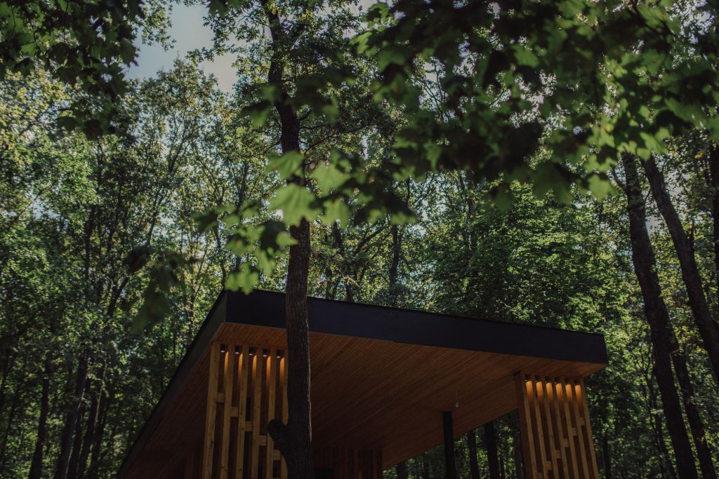 Кривоборье, Воронежская область: фото 2