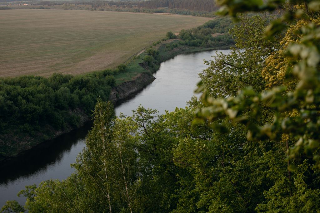 Кривоборье, Воронежская область: фото 5