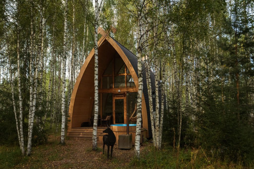 Дух Природы, Новгородская область: фото 3