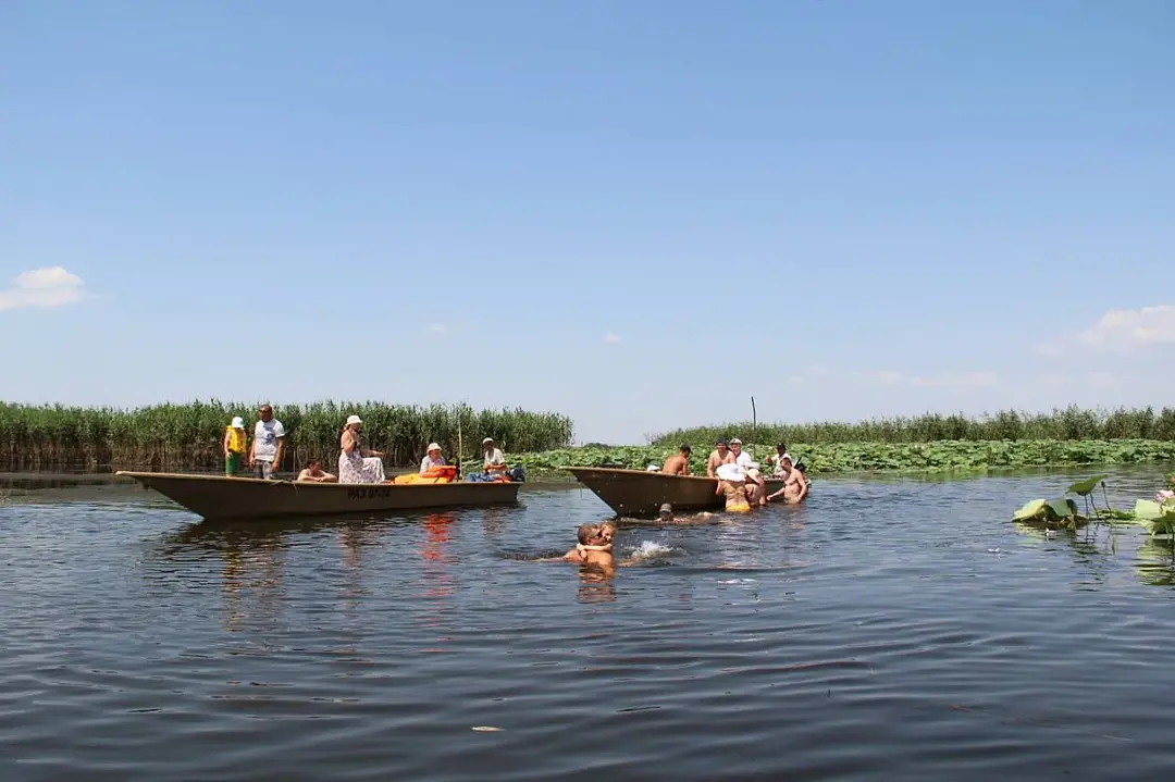 Экскурсии в долину лотосов в Астрахани